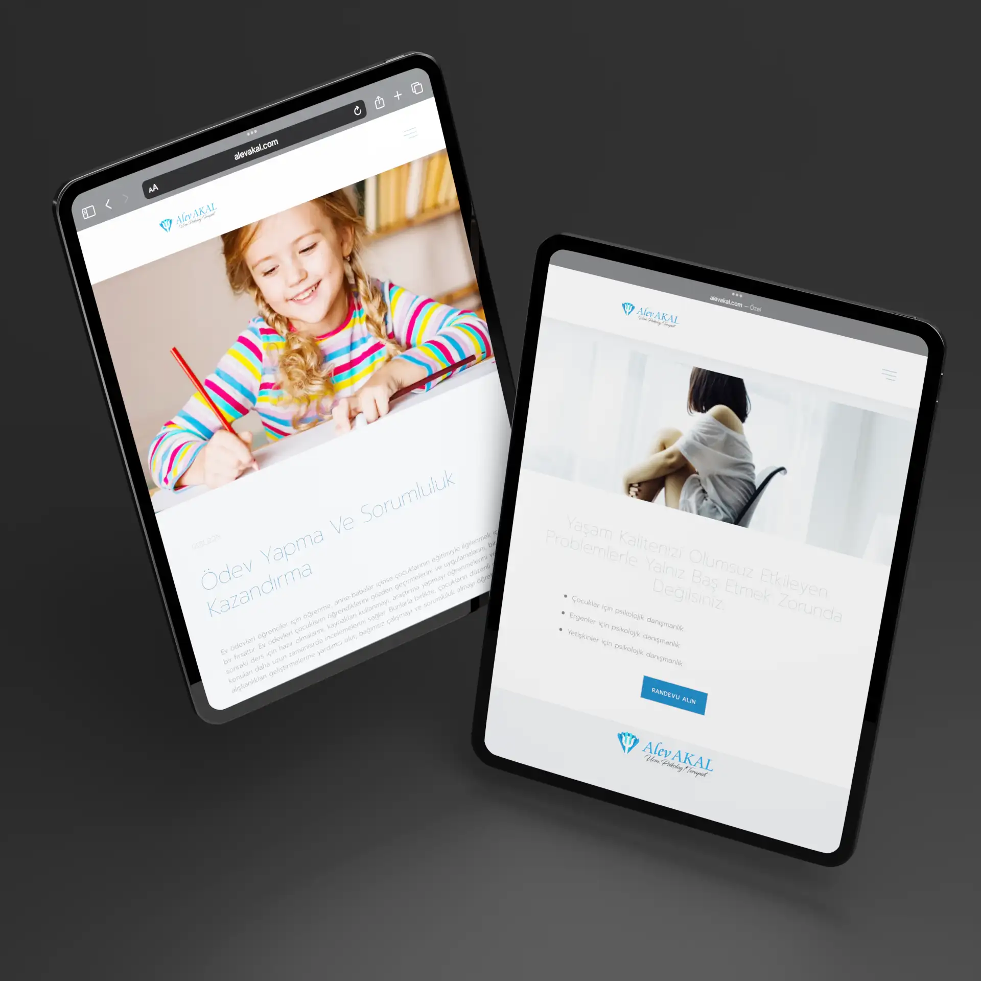 Alev Akal web tasarımı görsel 8