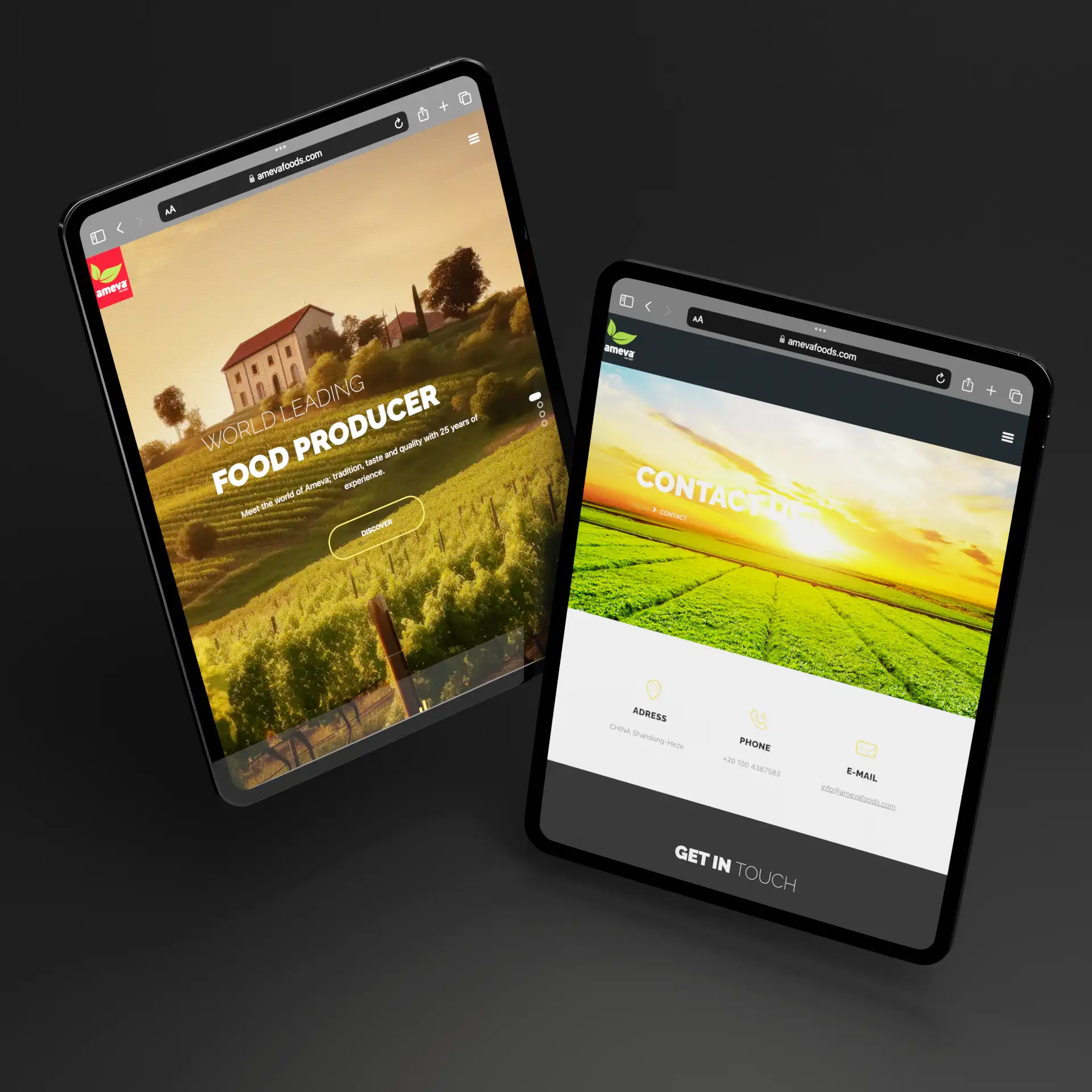 Ameva web tasarımı görsel 10