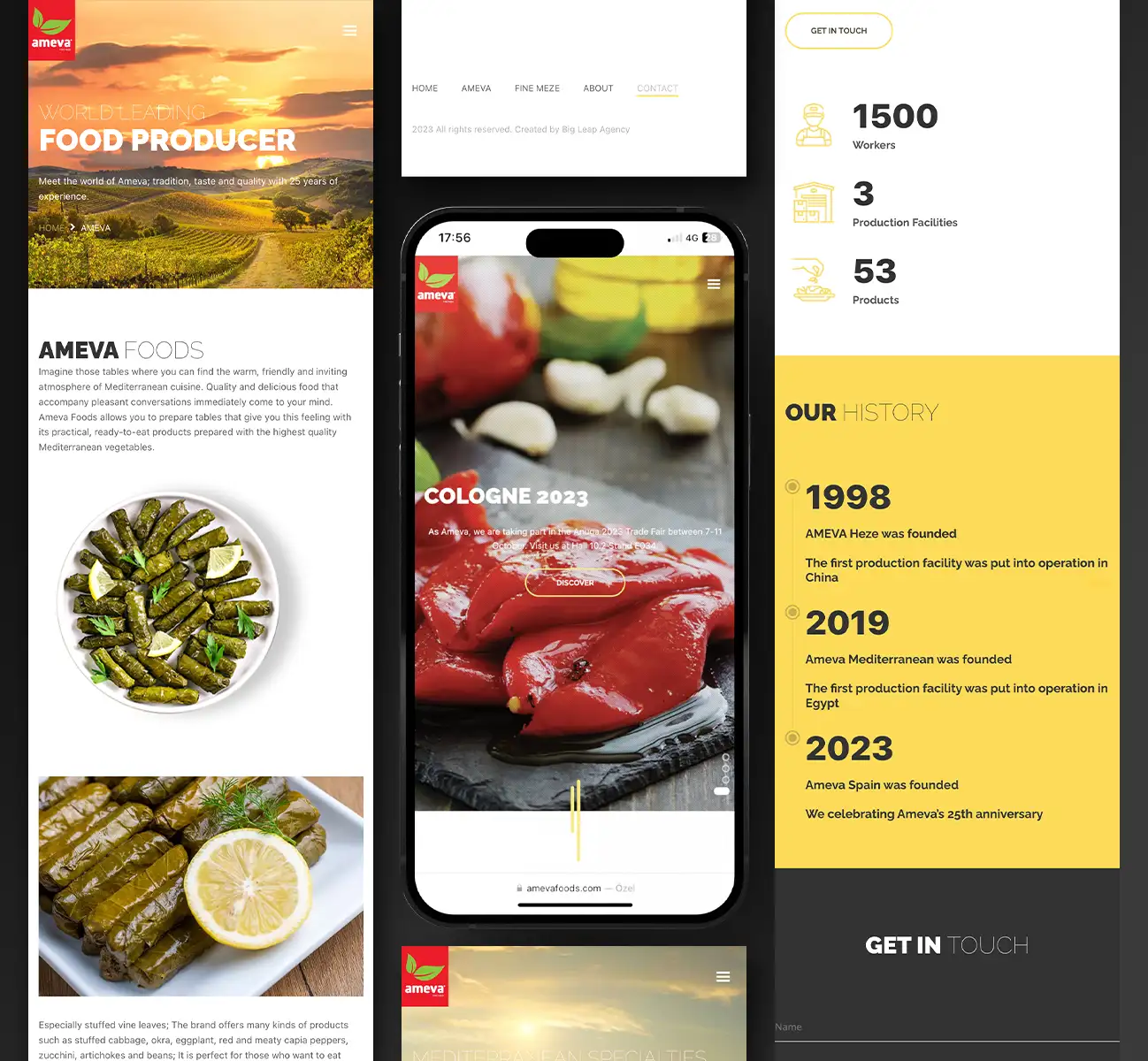 Ameva web tasarımı görsel 3