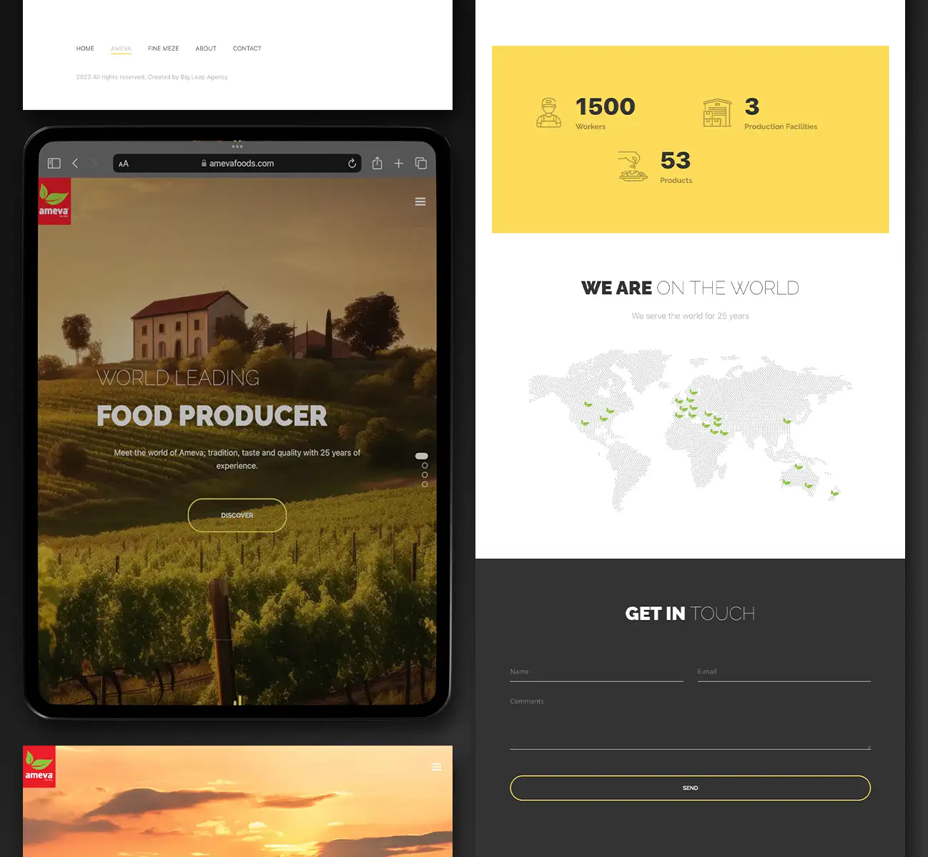 Ameva web tasarımı görsel 4