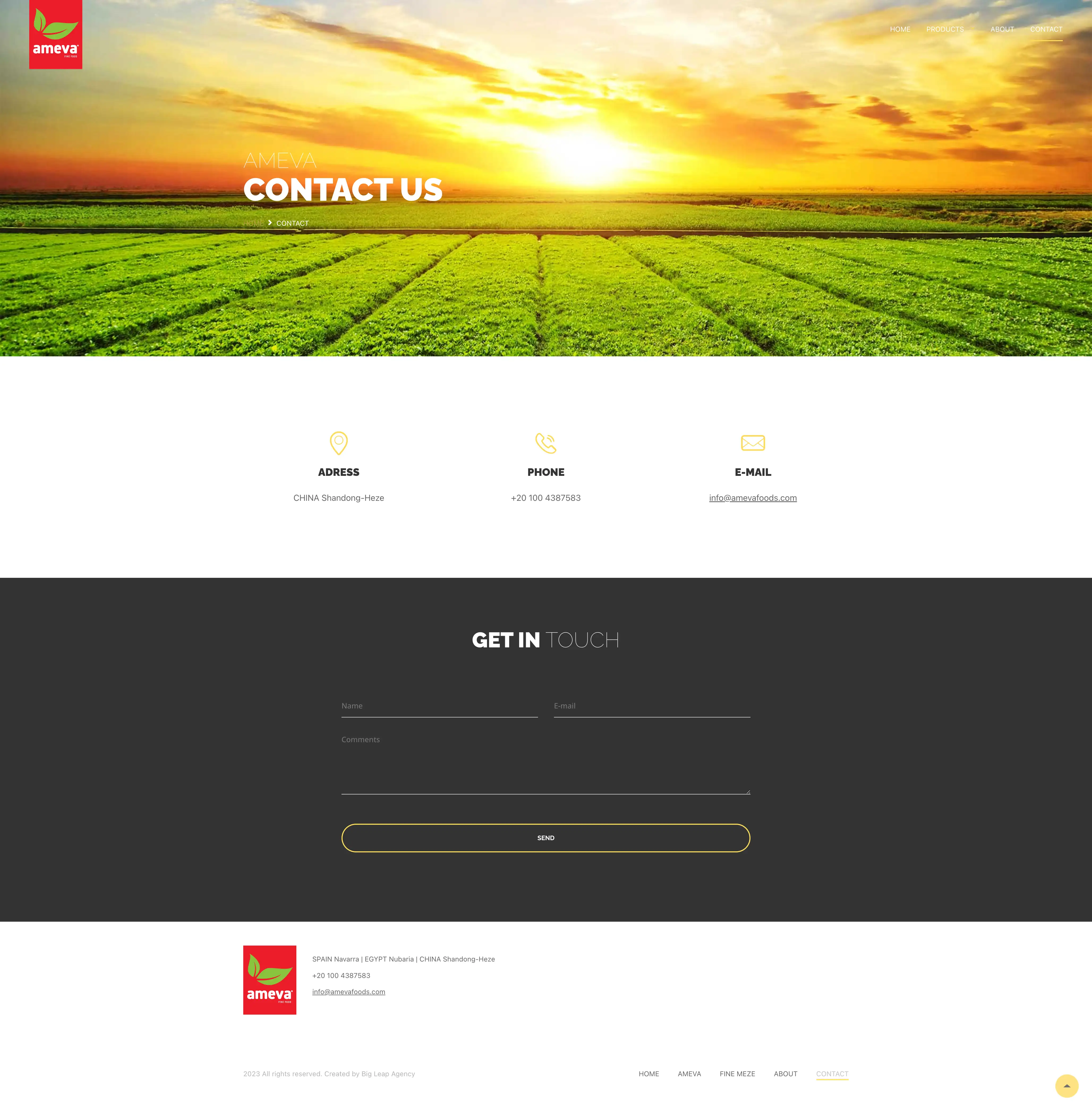 Ameva web tasarımı görsel 6