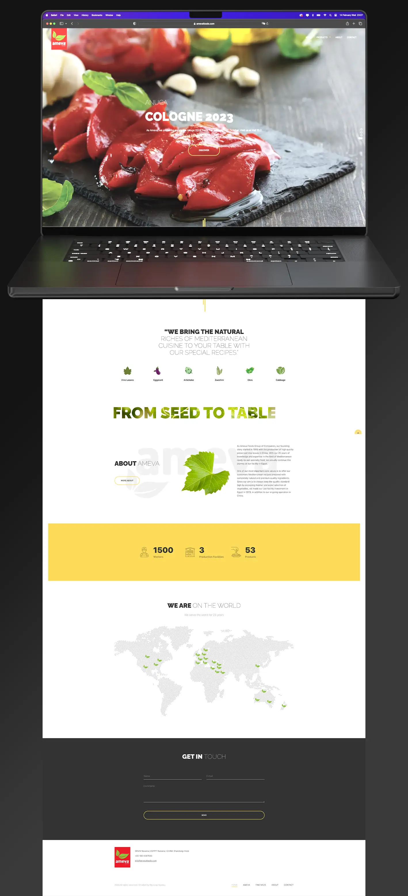 Ameva web tasarımı görsel 7