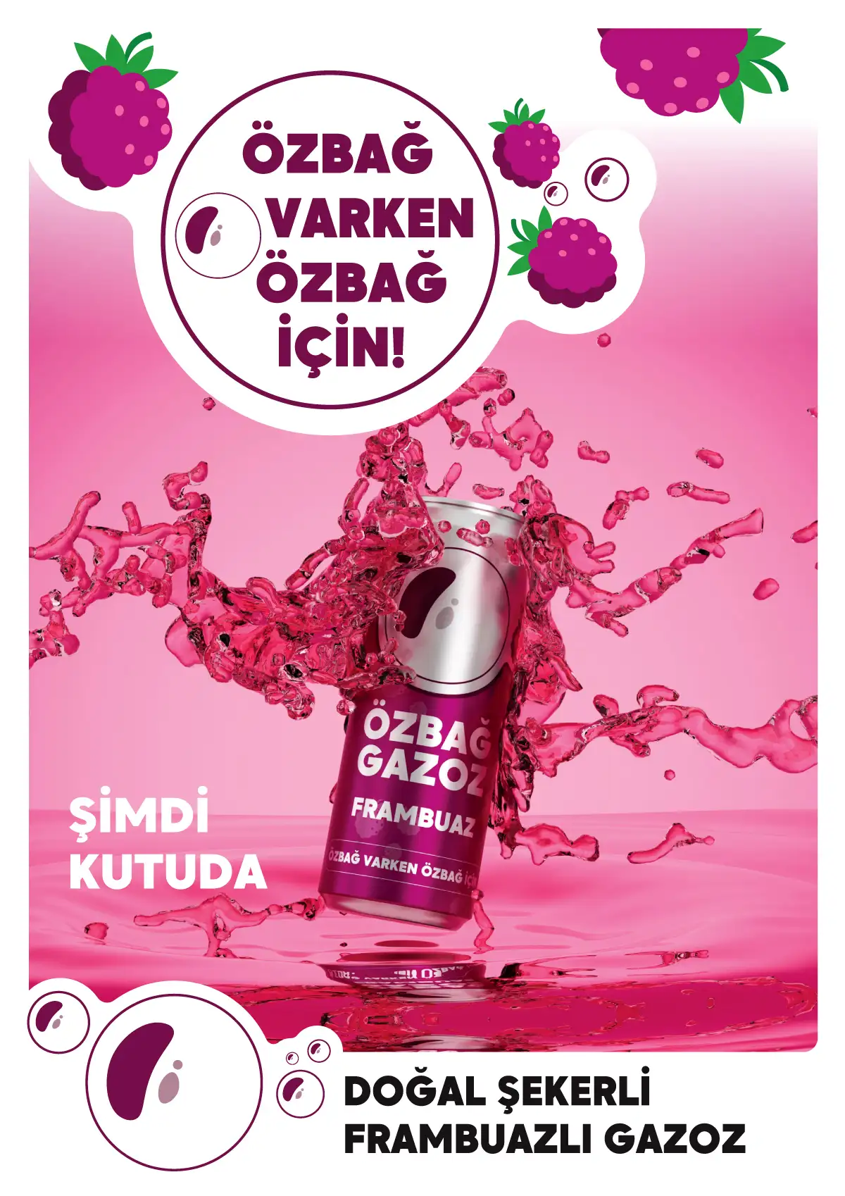 Özbağ Gazoz markası görsel 15